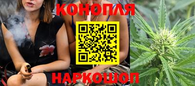 стафф Новокубанск