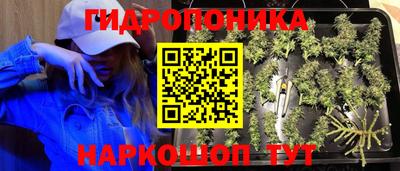 трава Обнинск