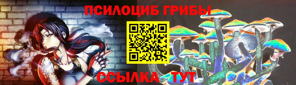 Псилоцибиновые грибы GOLDEN TEACHER Подольск