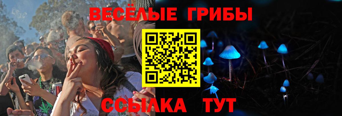 Подольск  Псилоцибиновые грибы прущие грибы  Вход с VPN 